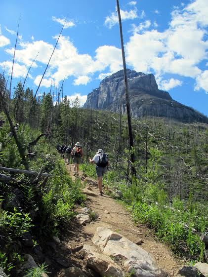 Stanley Glacier - VP